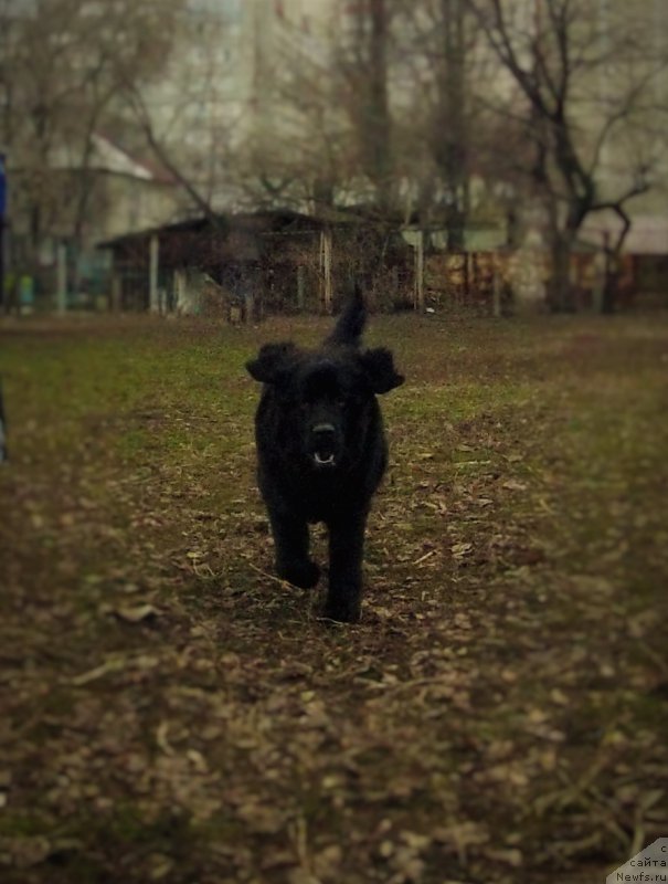 Фотография № 204452