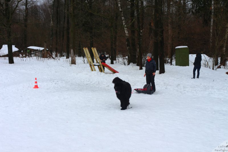 Фотография № 204498