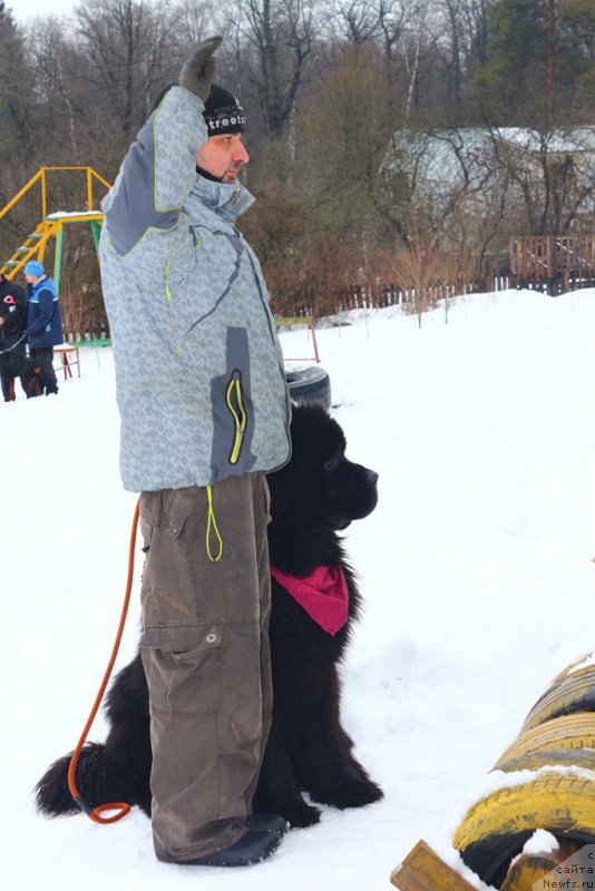 Фотография № 204500