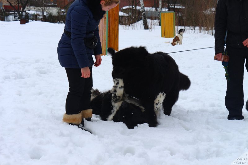 Фотография № 204501