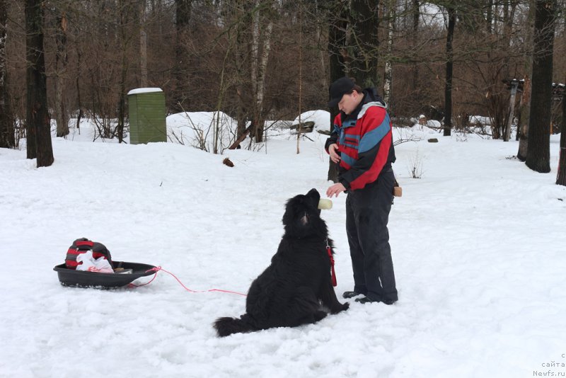 Фотография № 204502