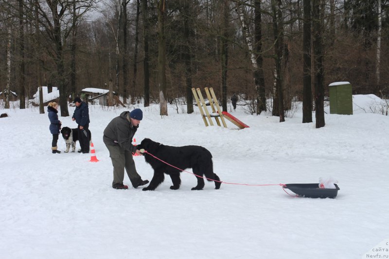 Фотография № 204505