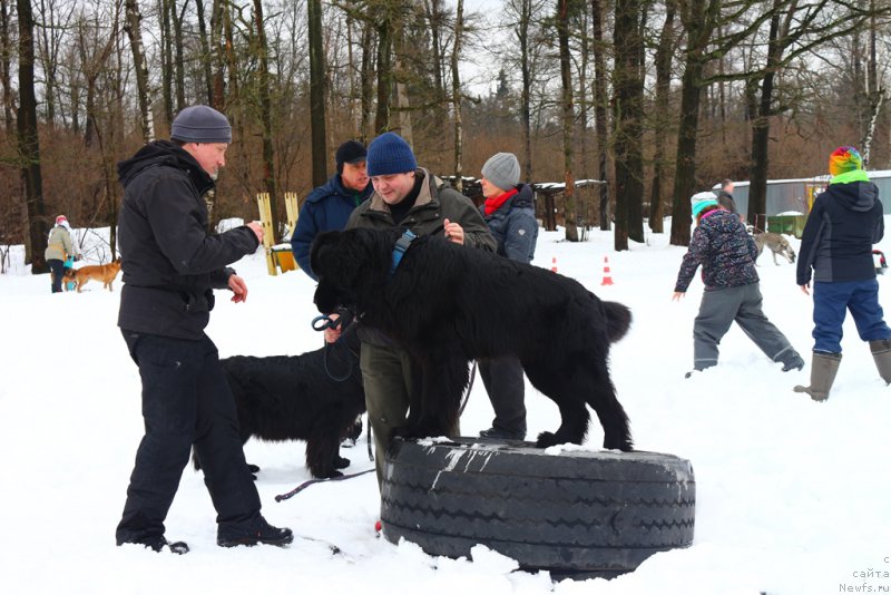 Фотография № 204506