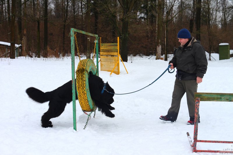 Фото: Александр Пономарёв, 