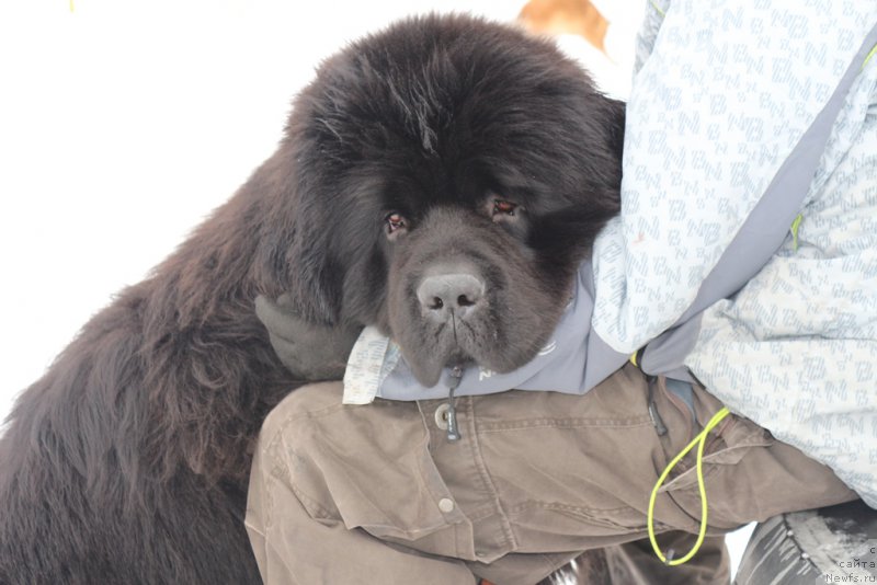 Фотография № 204511