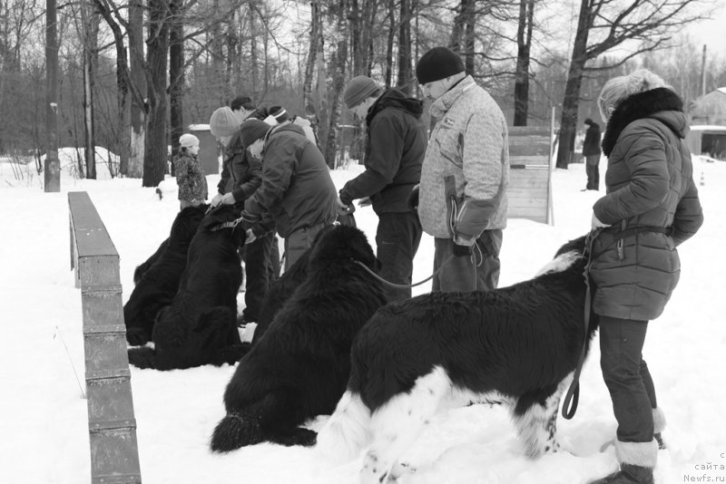 Фотография № 204513