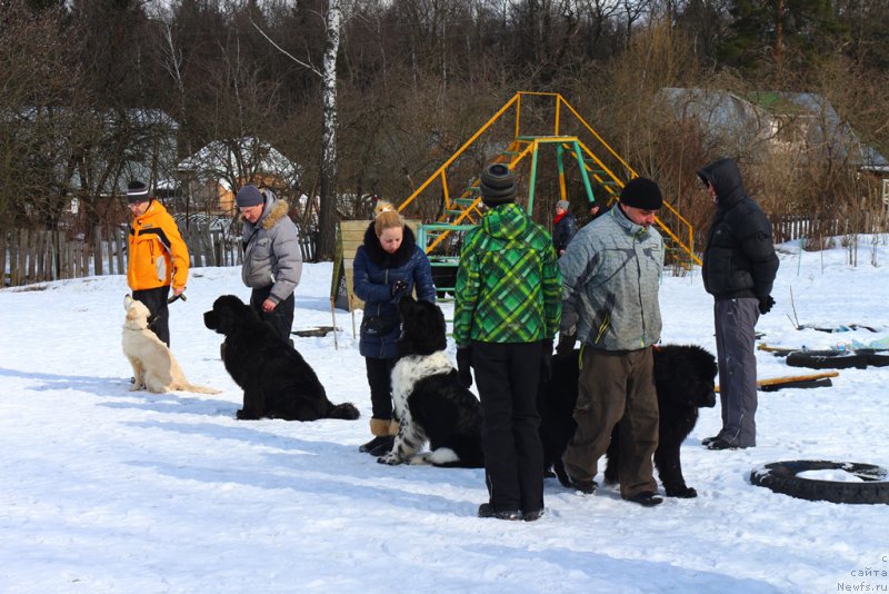 Фотография № 204517