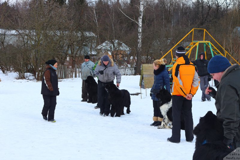 Фотография № 204519