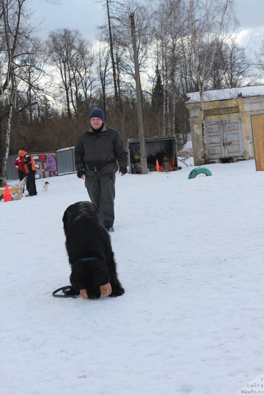 Фото: Александр Пономарёв, 