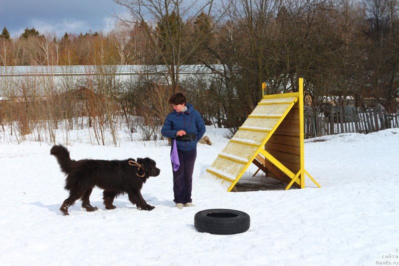 Фотография № 204521