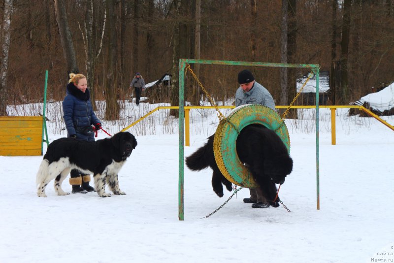 Фотография № 204522