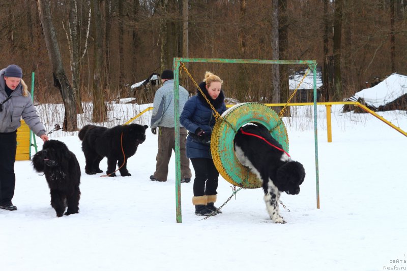 Фотография № 204523