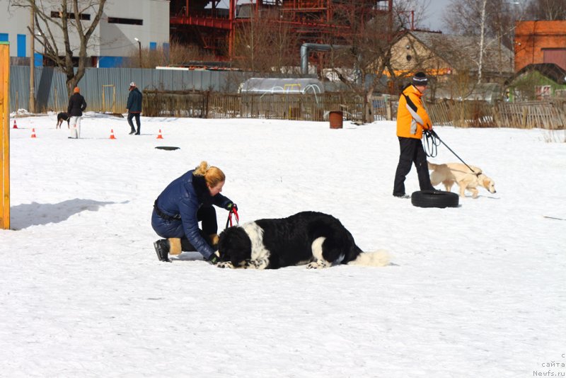 Фотография № 204524