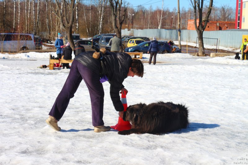 Фотография № 204533