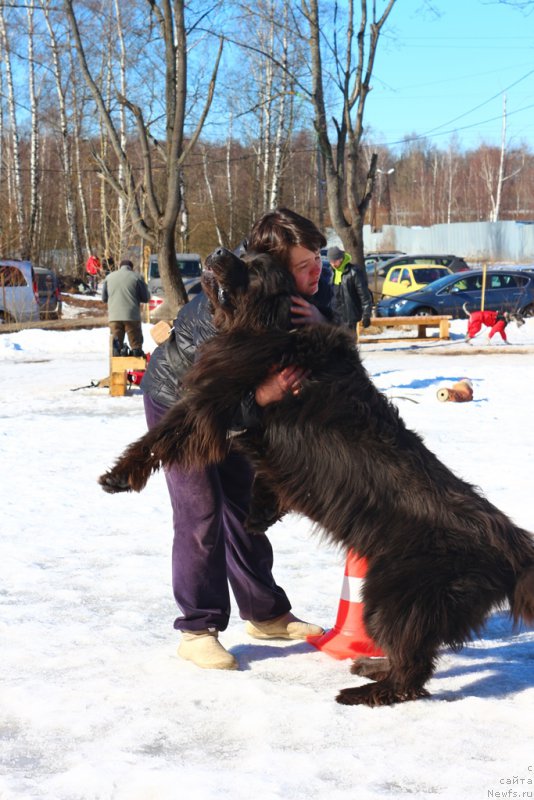 Фотография № 204534