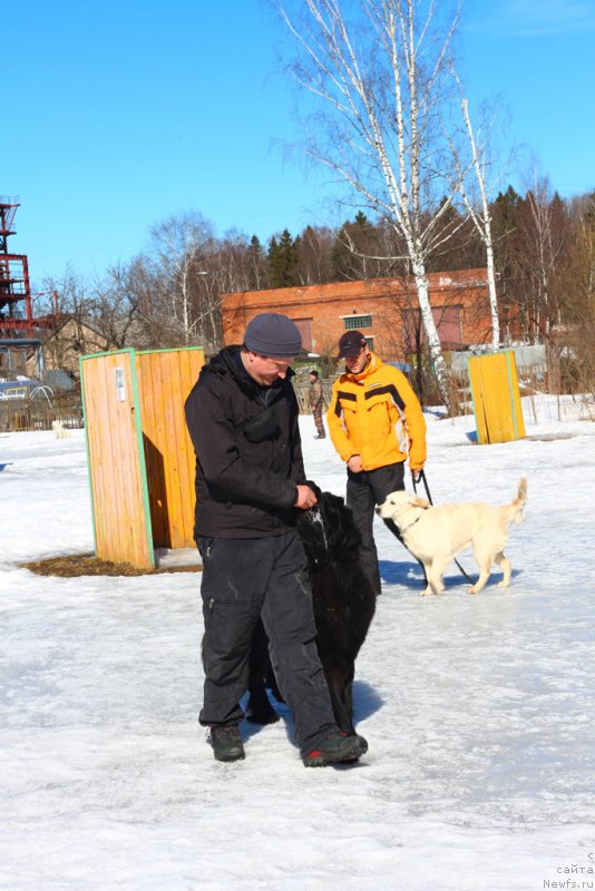 Фотография № 204536