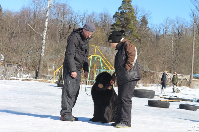 Фотография № 204539