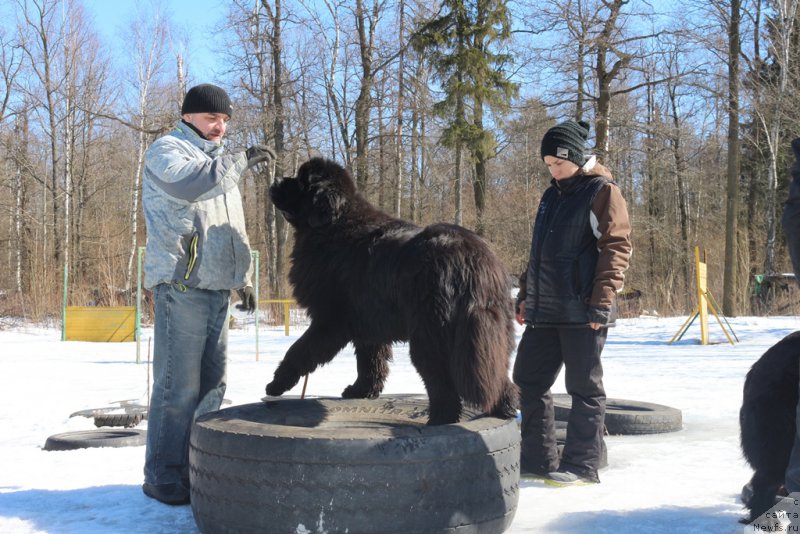 Фотография № 204541