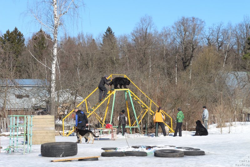 Фотография № 204543