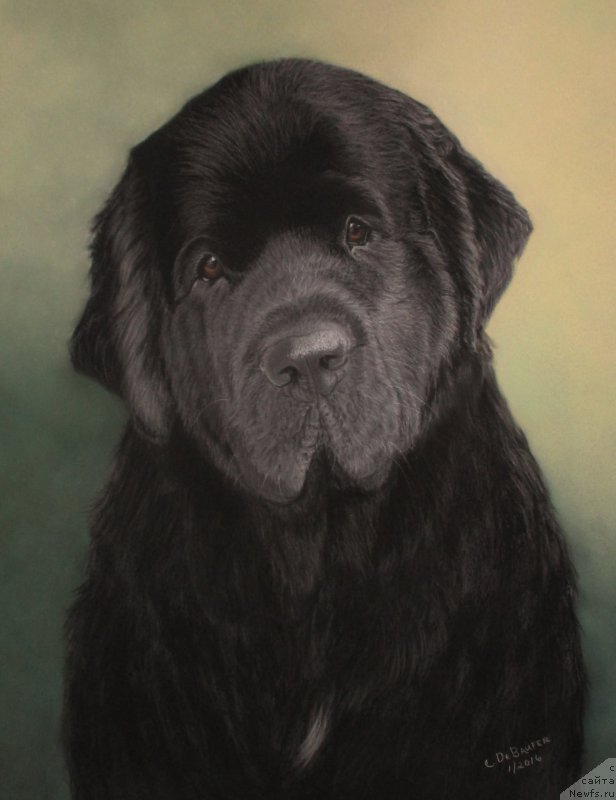 Фотография № 204568