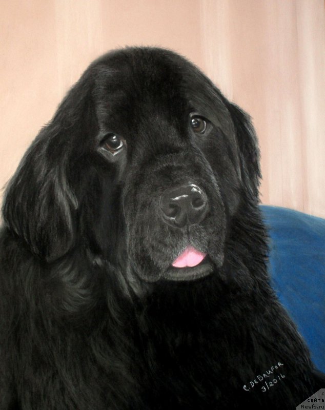 Фотография № 204569