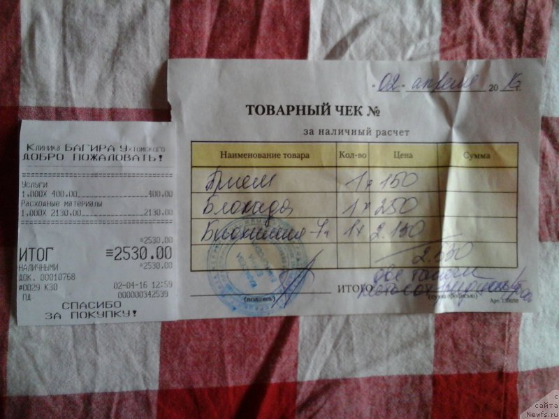 Фотография № 204570