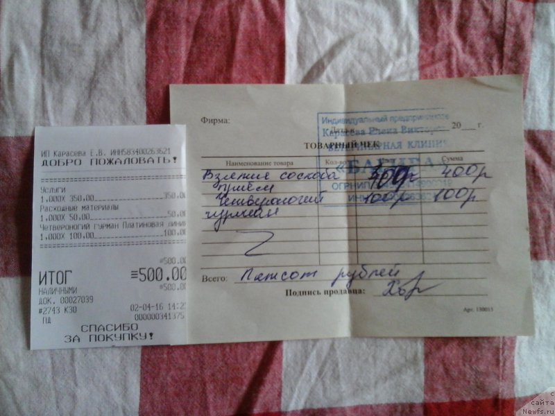 Фотография № 204571