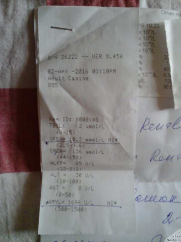 Фотография № 204573