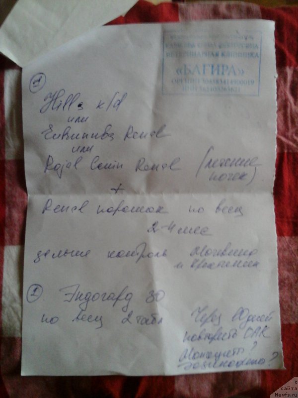 Фотография № 204574