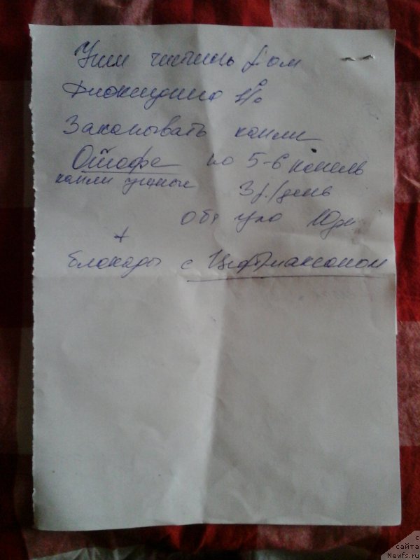 Фотография № 204575