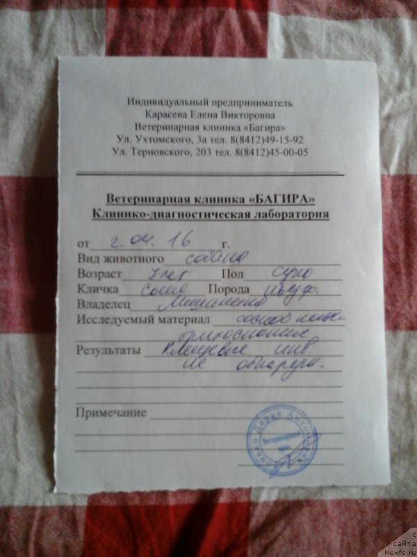 Фотография № 204576