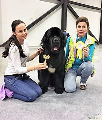 Фотография № 204643