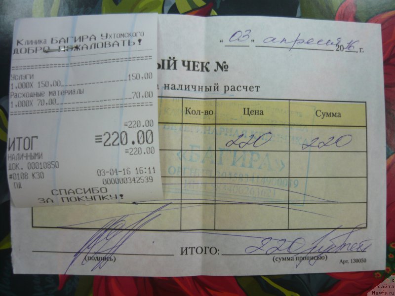 Фотография № 204656