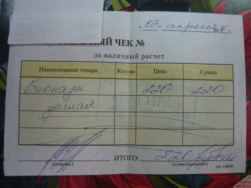 Фотография № 204657