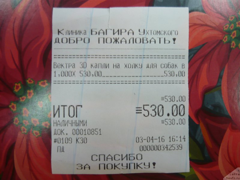 Фотография № 204658