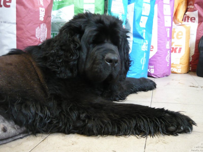 Фотография № 204660