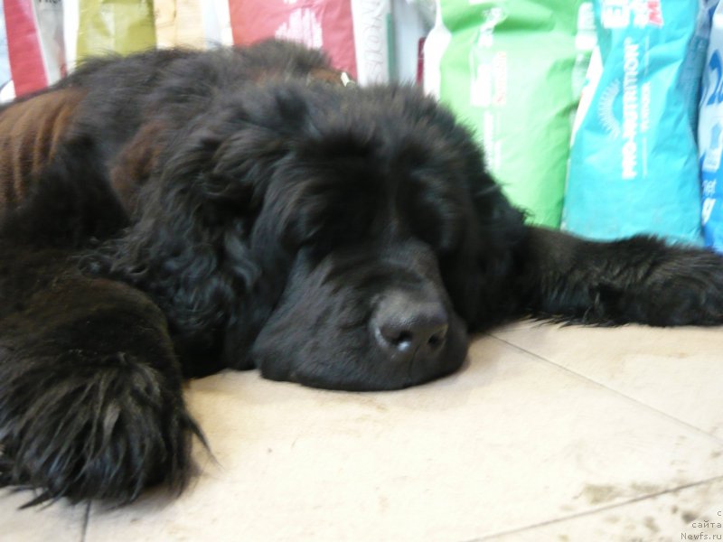 Фотография № 204661