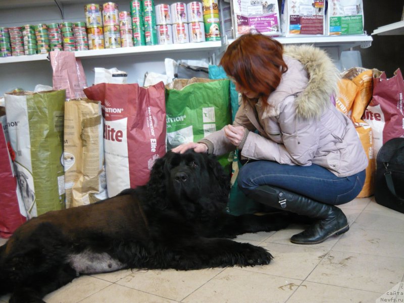 Фотография № 204662