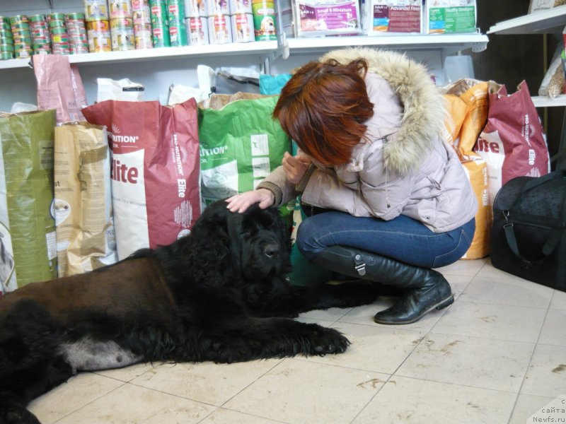 Фотография № 204663