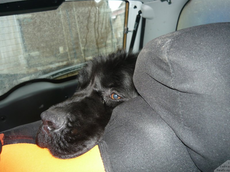 Фотография № 204665