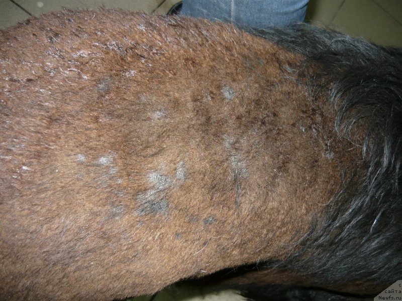 Фотография № 204667