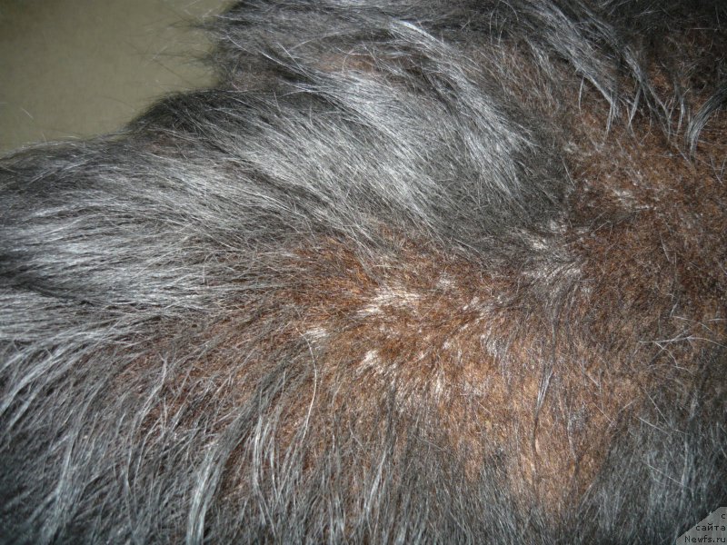 Фотография № 204668