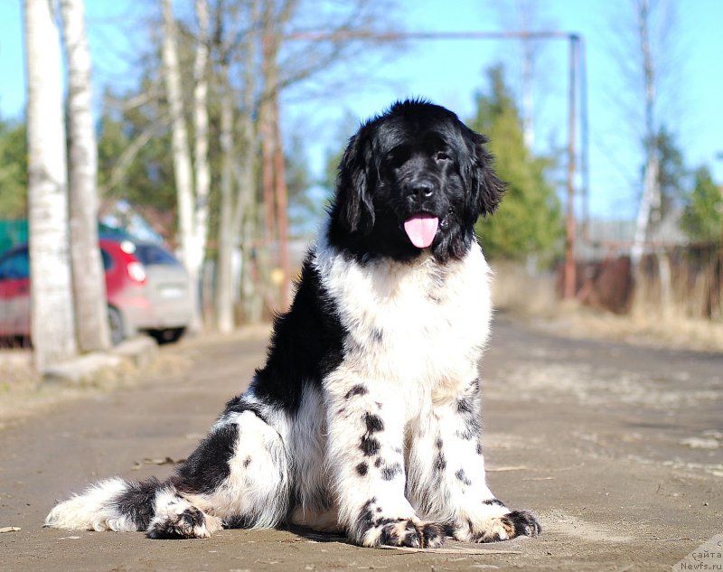 Фотография № 204669