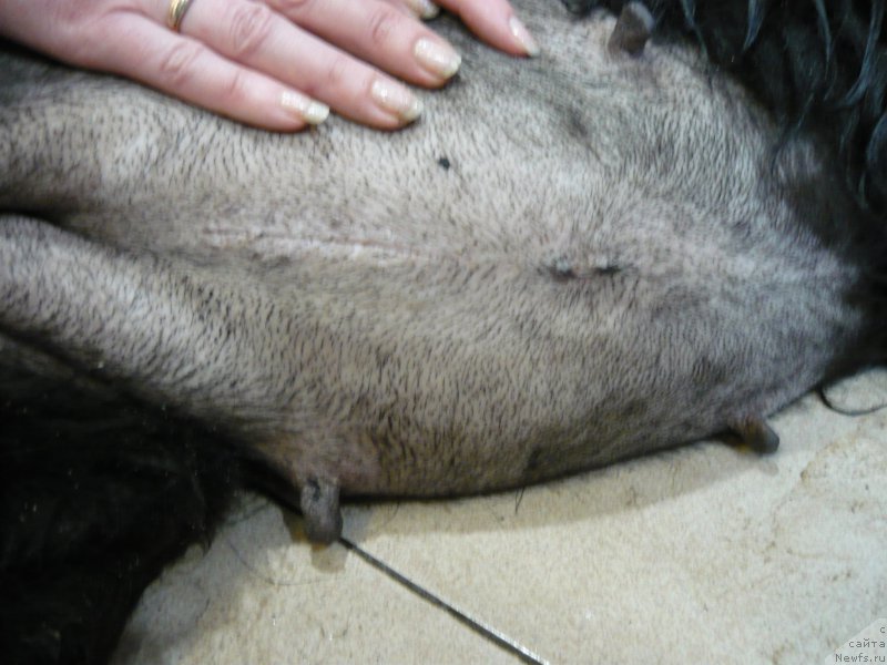 Фотография № 204673