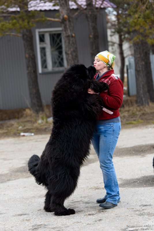 Фотография № 204674