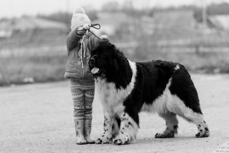 Фотография № 204676