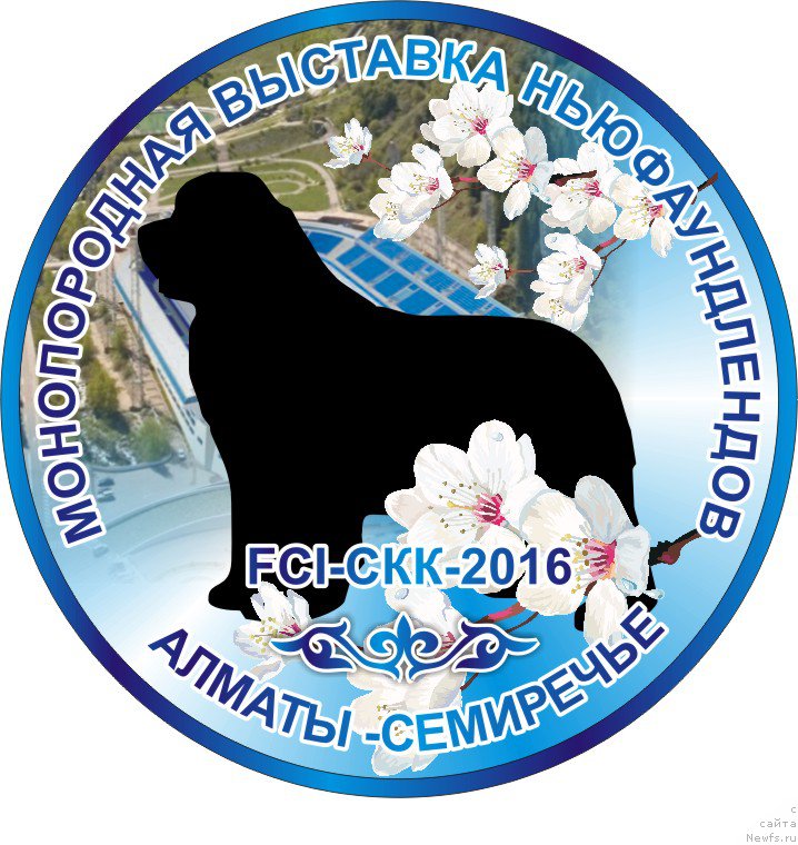 Фотография № 204685