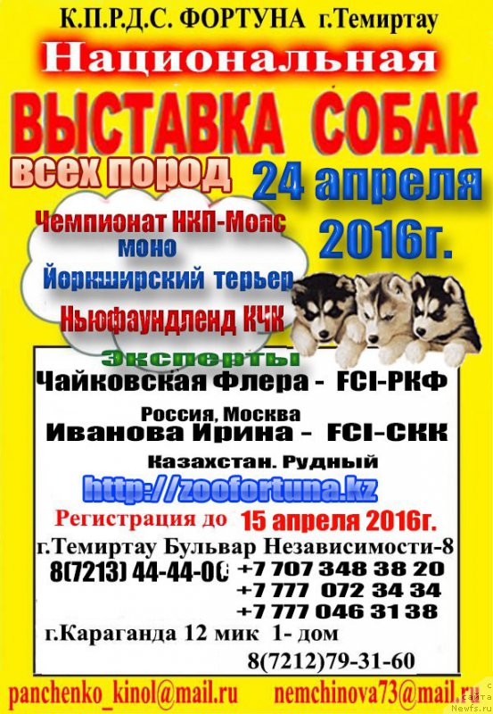 Фотография № 204687