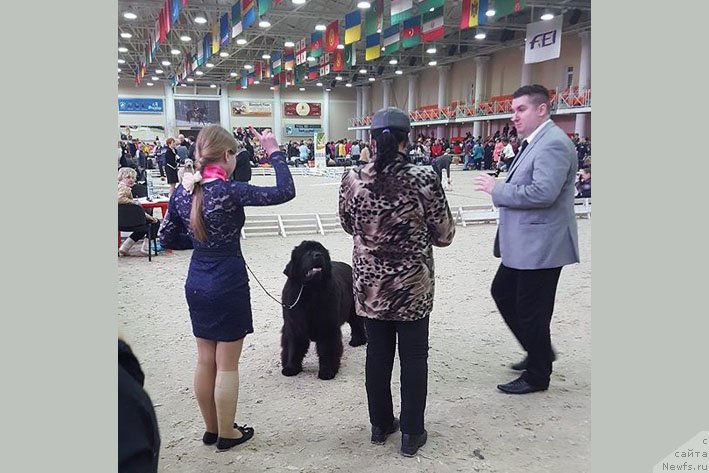 Фотография № 204704