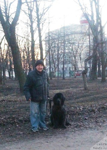 Фото: ньюфаундленд Черная Мафия Зеро Хоур (Chernaya Mafia Zero Hour)